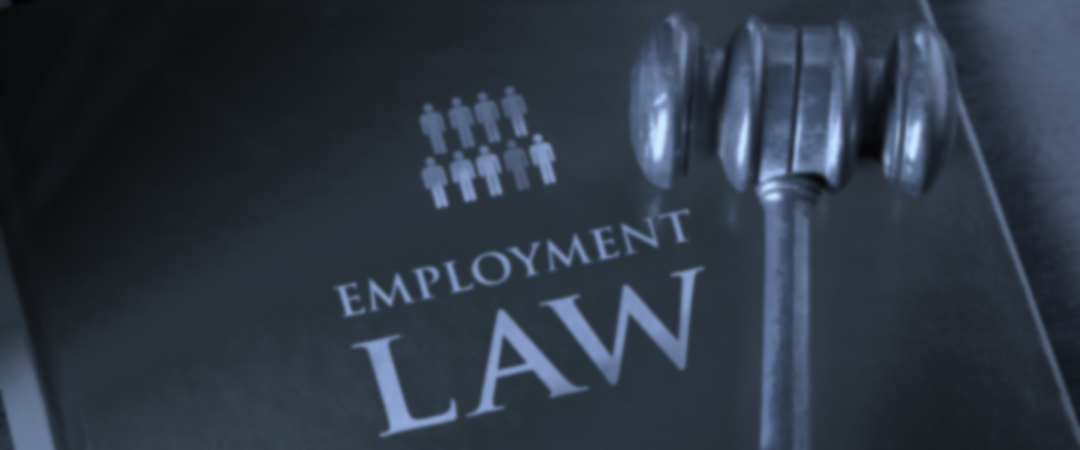 Employment - Roseanne Charles - Lawyer