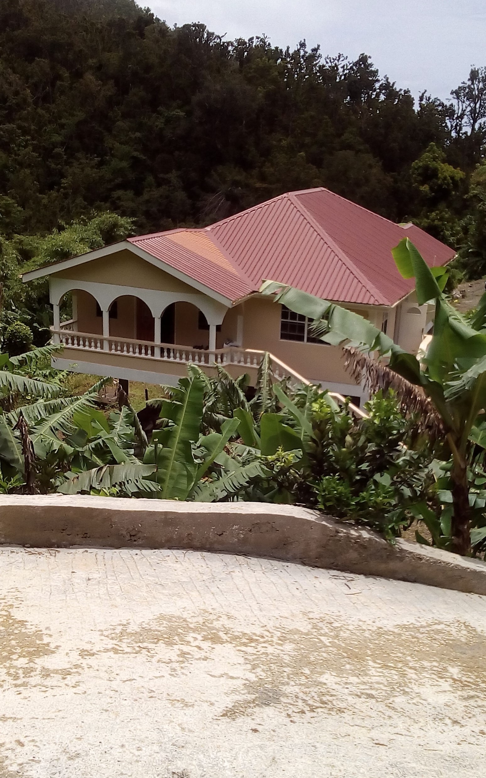 Land for Sale in Sylvania Law Office of RoseAnne Charles